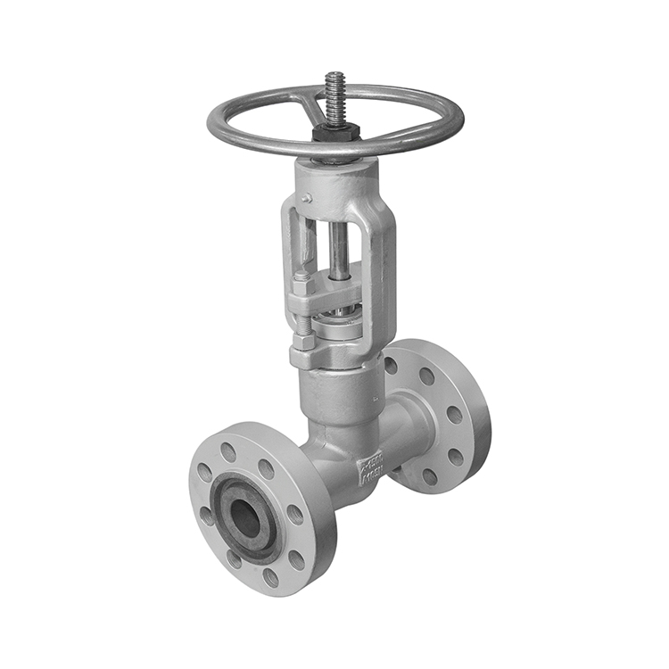 Integral flange globe valve